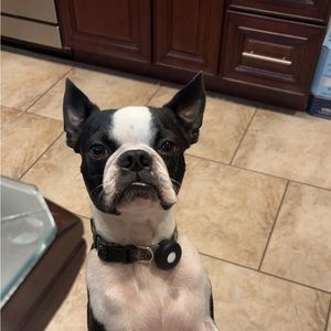 Meet your Posher, Lois